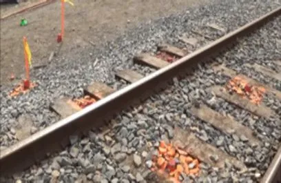 Railroad tracks with scattered orange petals.