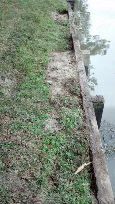 Grassy lakeside with wooden edge.