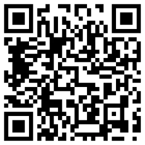 Complex black and white QR code