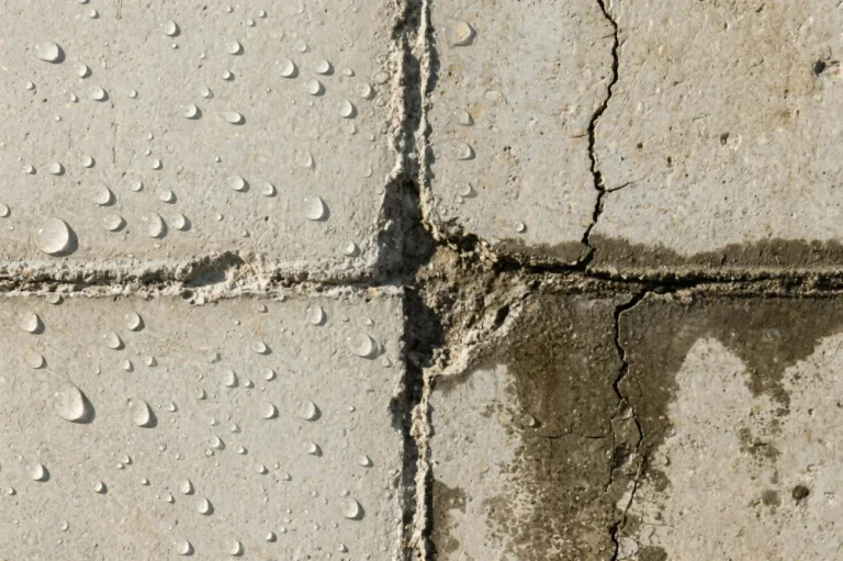 Which Grout Stops Leaks Better: Hydrophobic or Hydrophilic?